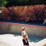 Robert Minuzzo Portfolio - Murals